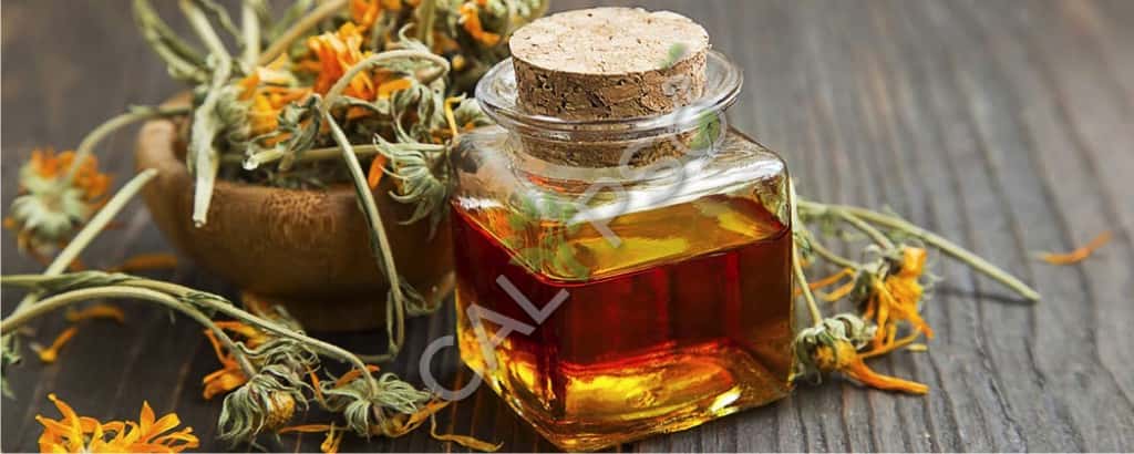 Calendula Absulute Olievoordelen
